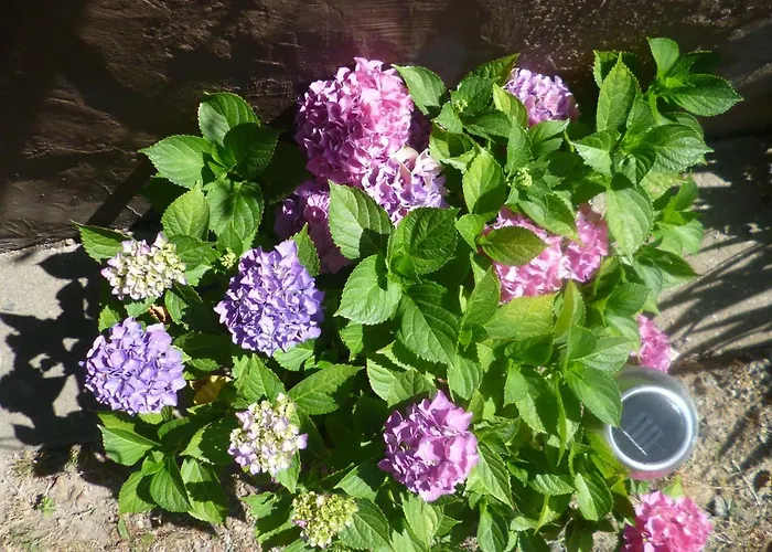 Σπίτι διακοπών Anne